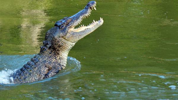 கேமராமேன், அசையாமல் இருந்த அந்த