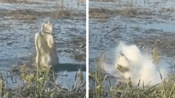 அவர்கள் அனுப்பிய அந்த ட்ரோன் ஆனது