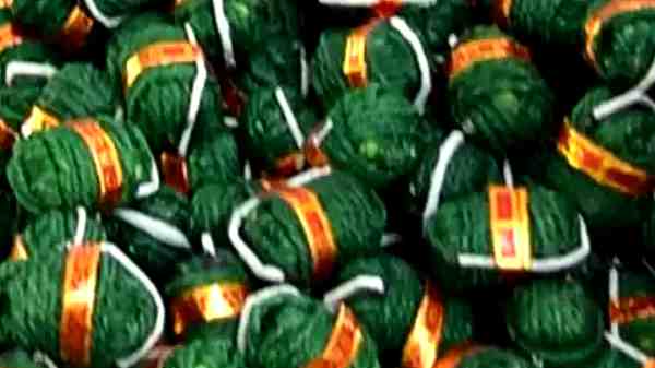 இந்த பசுமை பட்டாசுகளை எங்கு நாங்கள் வாங்கலாம்?