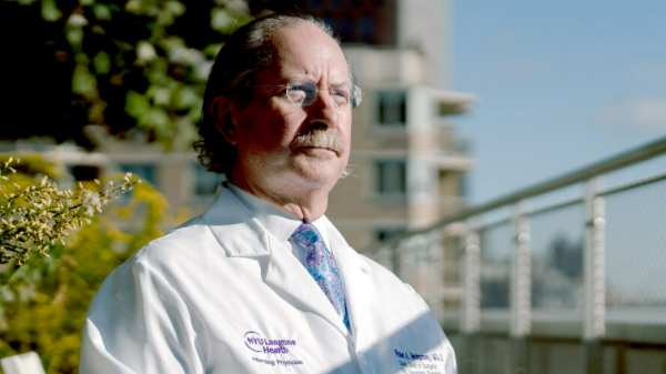 பன்றி உடலில் வளர்க்கப்பட்ட சிறுநீரகத்தை மனிதனுக்கு பொருத்தி சோதனை