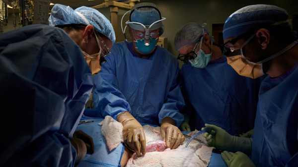 மனித உறுப்புகளின் பற்றாக்குறை காரணமாக ஏற்ப்படும் சிக்கல்கள்