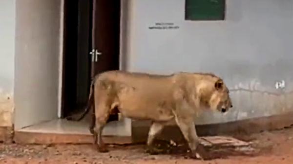 இயற்கை வனராசாவையும் அவசரமாக அழைத்ததா?