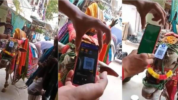 பூம்பூம் மாட்டுக்காரருக்குப் பணம்
