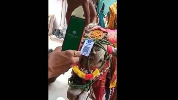 அக்டோபர் மாதம் ஆன்லைன்