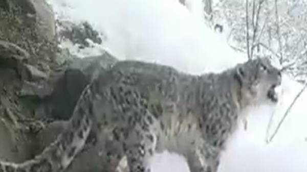 மக்கள் பாதுகாப்பாக இல்லை