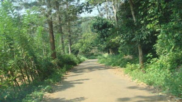  சிலர் தமிழ்நாட்டில் இப்படியோரு இடம் இருக்கிறதா? லாக்டவுன் முடிந்ததும் பயணிக்க