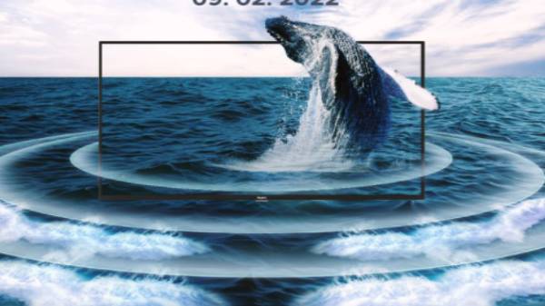 முக்கிய விவரக்குறிப்புகள் மற்றும் வடிவமைப்பு 