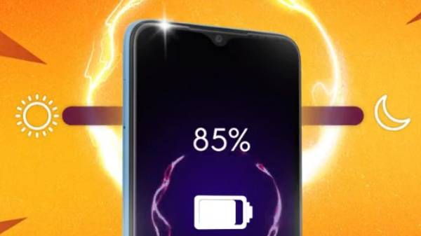 விலை மற்றும் கிடைக்கும் தன்மை