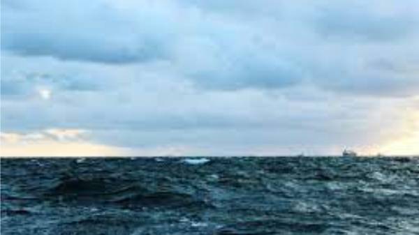 தற்போது இளம் பருவ நிலையில் கிடைத்துள்ள