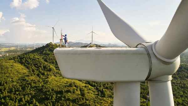 நேரடியாக சூரிய ஒளி தேவையில்லை.. ஆனால், சூரியன் தேவை தான்