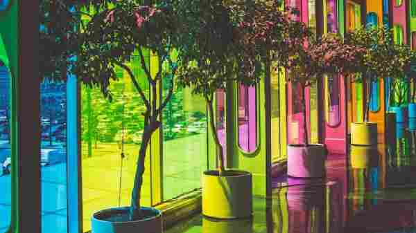 இயற்கைக்குக் கைகொடுக்கும் இதுபோன்ற படைப்பிற்குப் பாராட்டுக்கள்