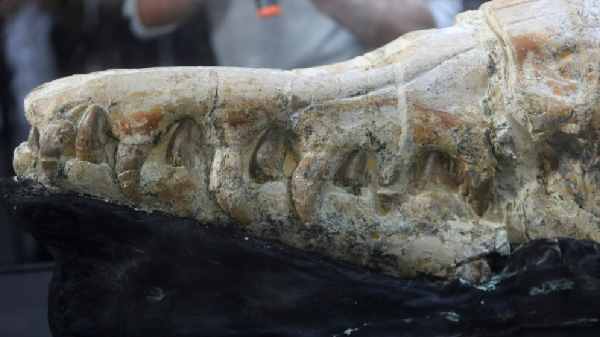 பெருவியன் கடலின் வரலாற்றை நாம் புனரமைக்க முடியும்