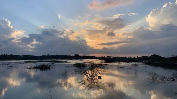 பள்ளி மாணவர்கள்