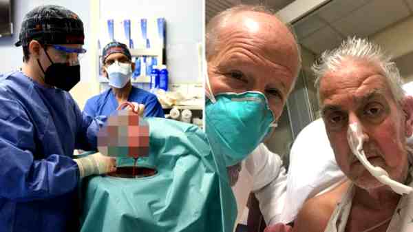 பன்றியின் இருதயம் மனிதனுக்குப் பொருந்துமா?