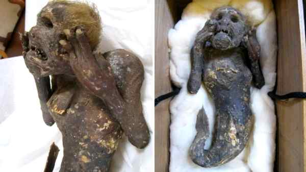 இதுவரை உங்களுக்குத் தெரிந்த அழகிய கடற்கன்னி இல்லை 'இது'