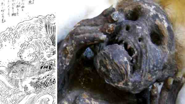 விஞ்ஞானிகளின் கண்டுபிடிப்புகள் கடற்கன்னி பற்றிய உண்மையை வெளிக்கொண்டு வருமா?