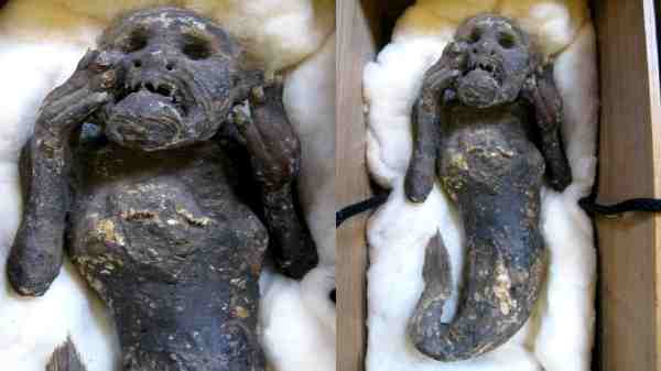 உடலின் மேல் பாதி மனித தோற்றம்.. கீழ் பாதி மீன் போன்ற தோற்றமா?