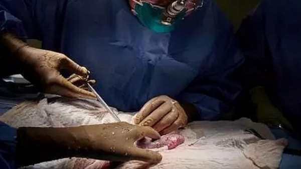 இரக்கமான நோய்த்தடுப்பு சிகிச்சையின் போது பென்னட் காலமானார்