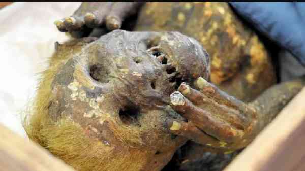 கடற்கன்னி பற்றி 1903 இல் எழுதப்பட்ட கடிதம் கொடுத்த ஆதாரம்