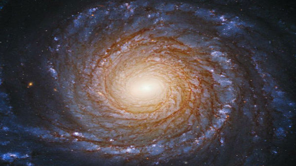 இந்த 'ஏலியன் இன்விடேஷன்' மெசேஜ்ஜில் என்னென்ன தகவல்கள் உள்ளது?