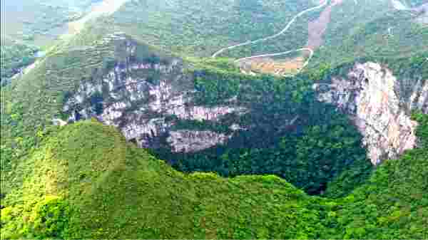 சிங்க்ஹோல் காடு பற்றி நமக்கு என்ன தெரியும்?