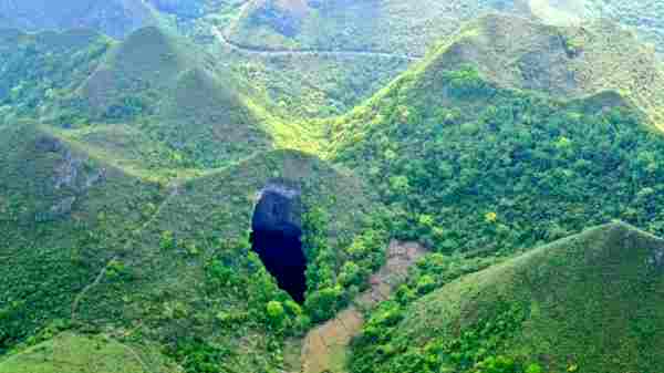 பூமி எவ்வளவு சதவீதம் காடுகளால் மூடப்பட்டுள்ளது?