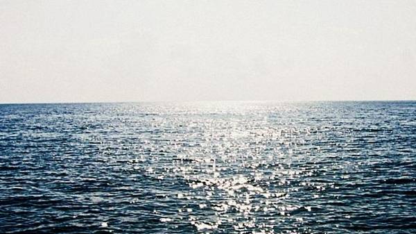 லைதளங்களில் வைரலாக பரவிவரும் ஒரு