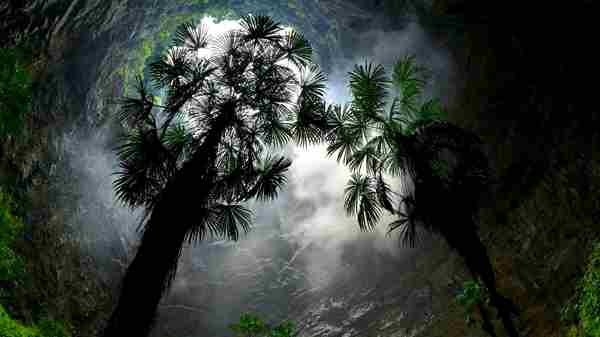 இதுவரை அறியப்படாத புதிய இனங்கள் மற்றும் உயிர்களின் சரணாலயமா இந்த இடம்