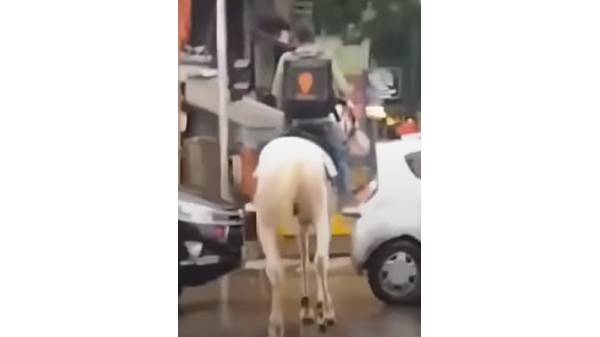 கனமழையில் ஸ்விகி டெலிவரி?