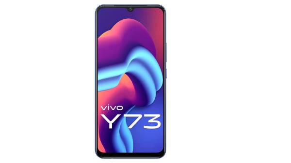 2.விவோ Y73