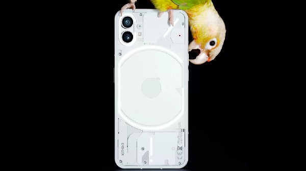 Nothing Phone (1) அசல் விலை மற்றும் சலுகை விலை.!