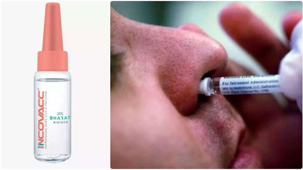 கோவிட் நாசி தடுப்பூசியை ஆன்லைனில் பதிவு செய்வது எப்படி?
