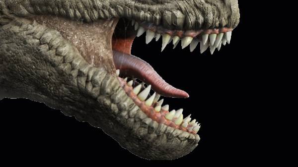 பூமியின் பேரழிவில் தப்பித்த உயிரினங்கள்.! டைனோசர் அழிய காரணம் என்ன?