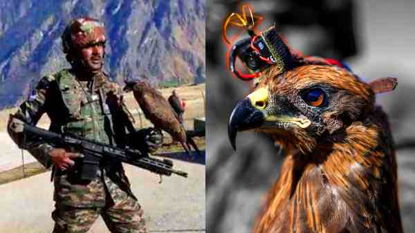 இந்தியாவில் பட்டையை கிளப்பும் 'கருடன் ஸ்க்வாட்'.!