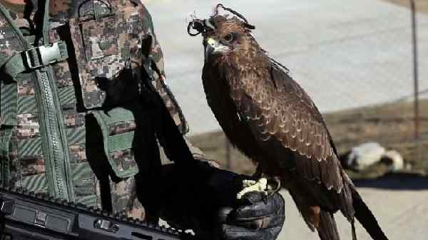 பயிற்சி காலத்திலேயே இத்தனை எதிரி ட்ரோன்களை நம்முடைய கழுகுகள் வதம் செய்ததா?