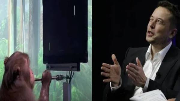 Neuralink நிறுவனத்தின் சிப்