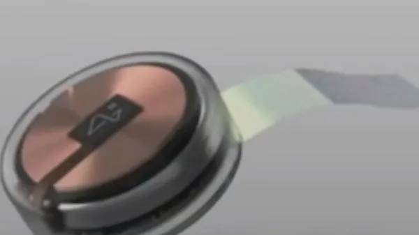 1500 விலங்குகள் கொல்லப்பட்டதாக தகவல்