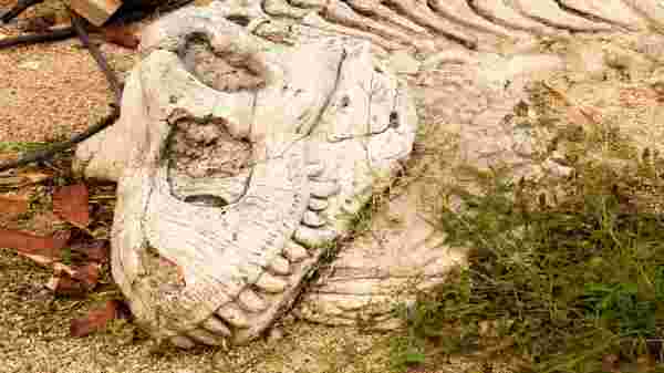 பூமியின் பேரழிவில் தப்பித்த உயிரினங்கள்.! டைனோசர் அழிய காரணம் என்ன?