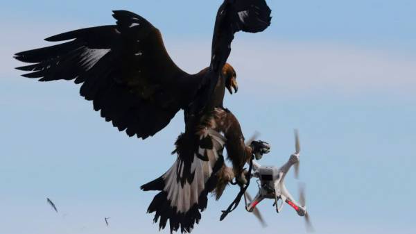 இந்த அசுர வேட்டை எதனால் ஆரம்பமானது தெரியுமா?