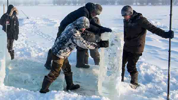 யார் இந்த வேலையை செய்தது? இதனால் மனிதர்களுக்கு ஆபத்தா?