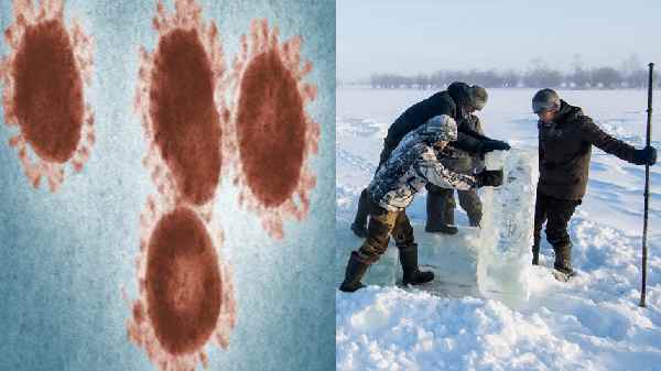 50,000 ஆண்டு பழைமையான புதிய 'வைரஸ்' கண்டுபிடிப்பு.!