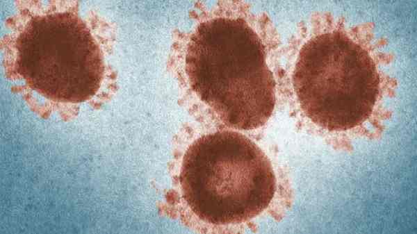 ஆயிரக்கணக்கான ஆண்டுகளுக்கு பிறகும் ஆக்டிவ் நிலையில் வைரஸ் உள்ளதா?