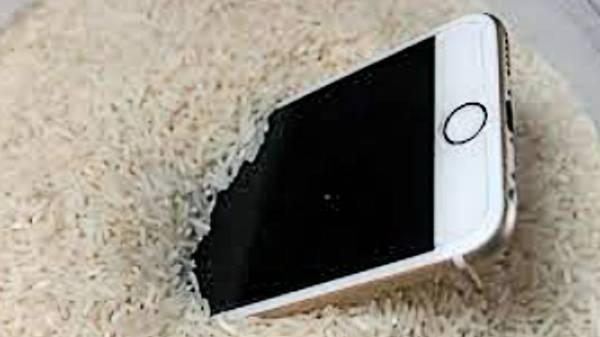 நீரில் விழுந்த போனை அரிசியில் போடலாமா? கூடாதா? மாற்று வழி என்ன?