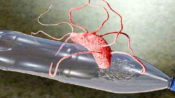 பிளாஸ்டிக் குப்பைக்கு ஆப்பு.! மொத்தமா மென்னு தின்றுவிடும் பாக்டீரியா.!