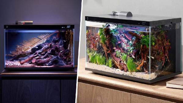 மீன் தொட்டி விற்பனை செய்கிறதா Xiaomi? இது சாதாரண மீன் தொட்டி இல்லை!