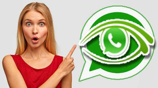 WhatsApp-ல் தனி-தனி சாட்டை லாக் செய்ய முடியுமா? வந்தாச்சு லாக் சாட்!