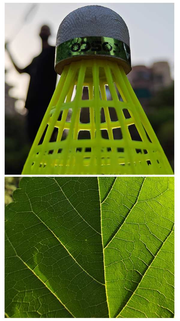 ஒன்பிளஸ் 11 5ஜி-யின் கலைநயம் மிக்க கேமரா திறன்கள்!