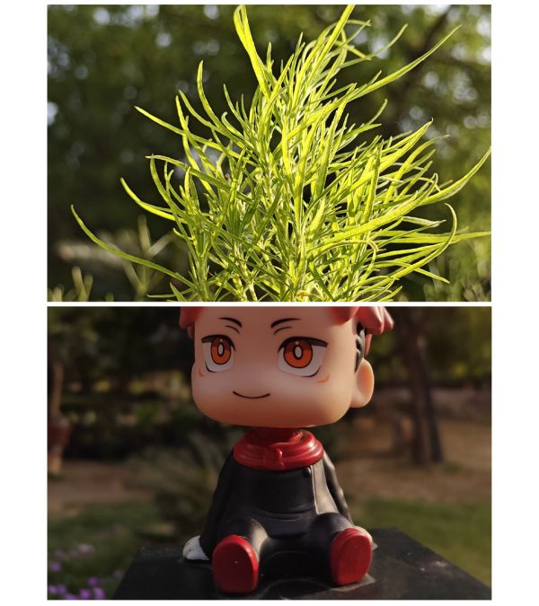 ஒன்பிளஸ் 11 5ஜி-யின் கலைநயம் மிக்க கேமரா திறன்கள்!