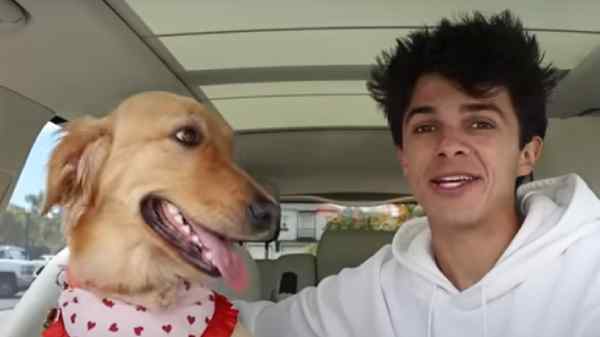 ரூ.16.5 லட்சம் மதிப்பில் நாய்க்கு வீடு கட்டி பரிசளித்த யூடியூபர்.! 