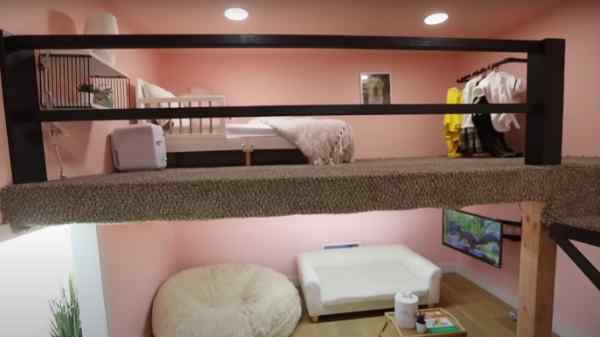 ரூ.16.5 லட்சம் மதிப்பில் நாய்க்கு வீடு கட்டி பரிசளித்த யூடியூபர்.! 